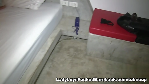 Sexy blonde girlfriend sucks cock and fucks