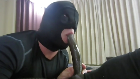 Mash dependley tauntoc foxy calib luxuriousdei juli